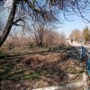 Свалки на территории Кулешовского сельского поселения и их зачистка